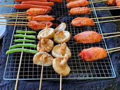 -长白岛森林公园
