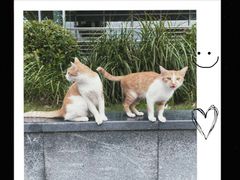 -Wagas沃歌斯(大学路店)