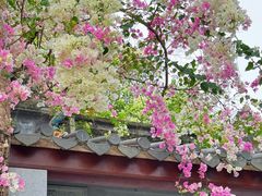 -深圳国际园林花卉博览园