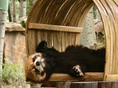 -北京野生动物园