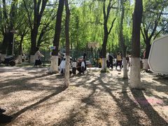 -长白岛森林公园