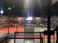 -VS SPORTS PARK运动玩乐园·团建·生日会(合生汇店)