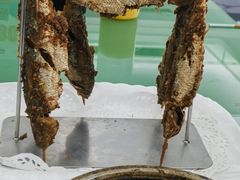 -海天一色海景自助餐厅(西港花园店)