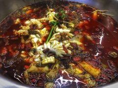 麻辣锅-重庆何乌鱼(南湖逸家店)