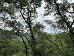 -滴水岩森林公园