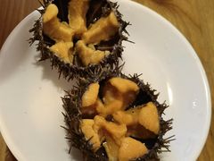 活海胆-海胆小馆(春柳店)