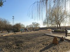 -大兴滨河森林公园