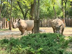 -北京野生动物园