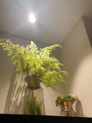-香秀空间科技抗衰·美容中心