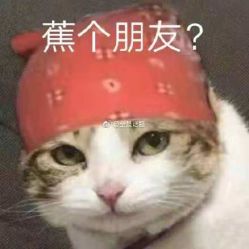 -乐高品牌旗舰店(人民广场店)