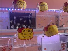 -中环花鸟鱼虫市场