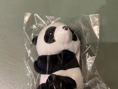 -海底捞火锅(龙岗星河COCO Park店)