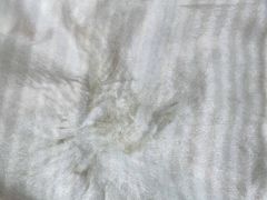 -氿熹干锅•牛蛙•烤鱼(印象城店)