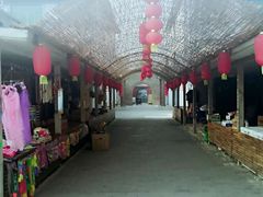 -白洋淀景区