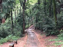 -西湖风景区十里琅珰-五云山
