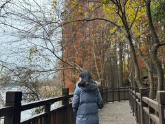 -东湖落雁景区