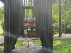 -黄海国家森林公园