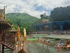 -西双版纳原始森林公园