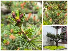 -宁波市保国寺古建筑博物馆