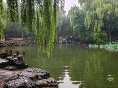 -清华大学-甲所餐厅