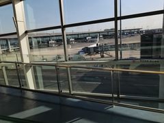 -青岛胶东国际机场