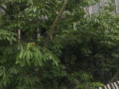 -福道
