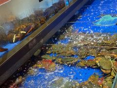 -炊江南·上海菜(国展华漕店)
