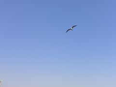 -蠡湖大桥公园