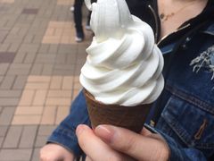 香草软雪糕-富豪雪糕车流动点(尖沙咀店)