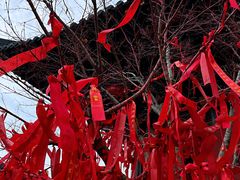 -广富林郊野公园