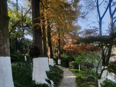 -南京市规划建设展览馆