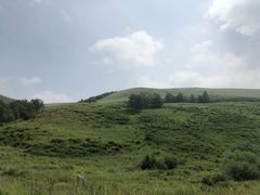 -塞罕坝国家级自然保护区