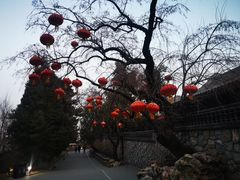 -香山公园