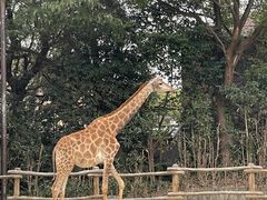 -上海野生动物园