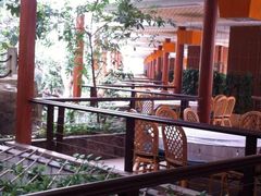 iphone_upload_pic-绿色时代大酒店