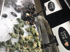 -上海新发展亚太JW万豪酒店