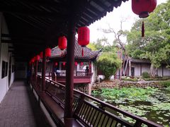 -上海醉白池公园