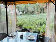 -野蔓果·山野菜(西湖景区·龙井茶田店)