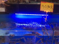 -阿伟海鲜楼·福建菜(延寿店)