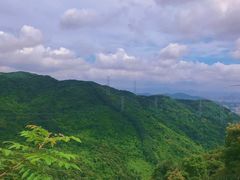 -阳台山森林公园