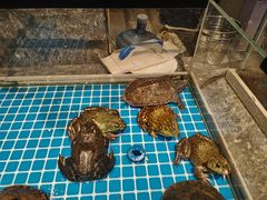 -一方渔歌蒸汽海鲜自助(文化路万达广场店)