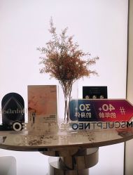 -Fundi张玉珊修身堂·indiba·BTL科技瘦身