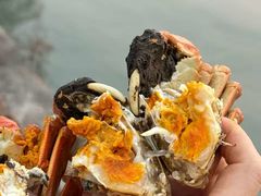 -品鲜村农家菜·阳澄湖大闸蟹(总店)