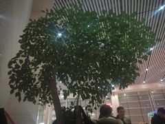 -合肥火车站(地铁站)