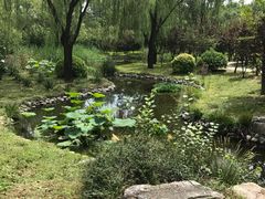 -朝阳公园游乐园