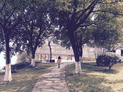 iphone_upload_pic-同里湖度假村(二期店)
