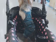 -喜多萌中农锦绣动物医院24H·猫科·牙科MRI·CT