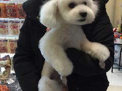 -Oh My Dog宠物沙龙(伊珊娜皮毛护理店)
