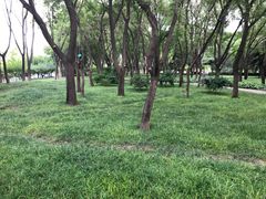 -玲珑塔公园