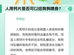 -瑞派申生动物医院·24H夜诊·国际动物医疗中心·骨外科(吴中路店)